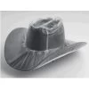 Clear Tall Hat Cover -Ariat Store 01090
