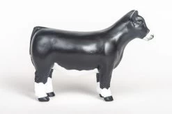 Little Buster Champion Simmental Heifer -Ariat Store 200873b