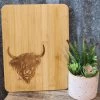 Highland Cutting Board -Ariat Store 20230126 105610