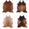 Brindle Cowhide Large Rug -Ariat Store 5086all