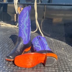 Fenoglio Black & Purple Smooth Ostrich Boots -Ariat Store IMG 5368