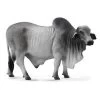 Breyer Brahma Bull 2 Breyer Brahma Bull -Ariat Store brahman bull model breyer 821821 2000x e5eaee2d 4832 476a a908 fa9f444e6c0f