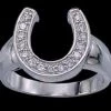 Montana Silversmiths Cubic Zirconia Horseshoe Ring Size 9 -Ariat Store unnamed 1 2e1c0725 ad53 49e8 9c05 b6dd7086c751